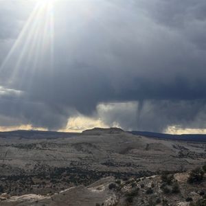 Meet your Posher, Ariselli